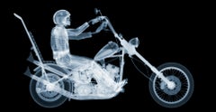 "Easy Rider", photography by Nick Veasey (47x24'), 2015