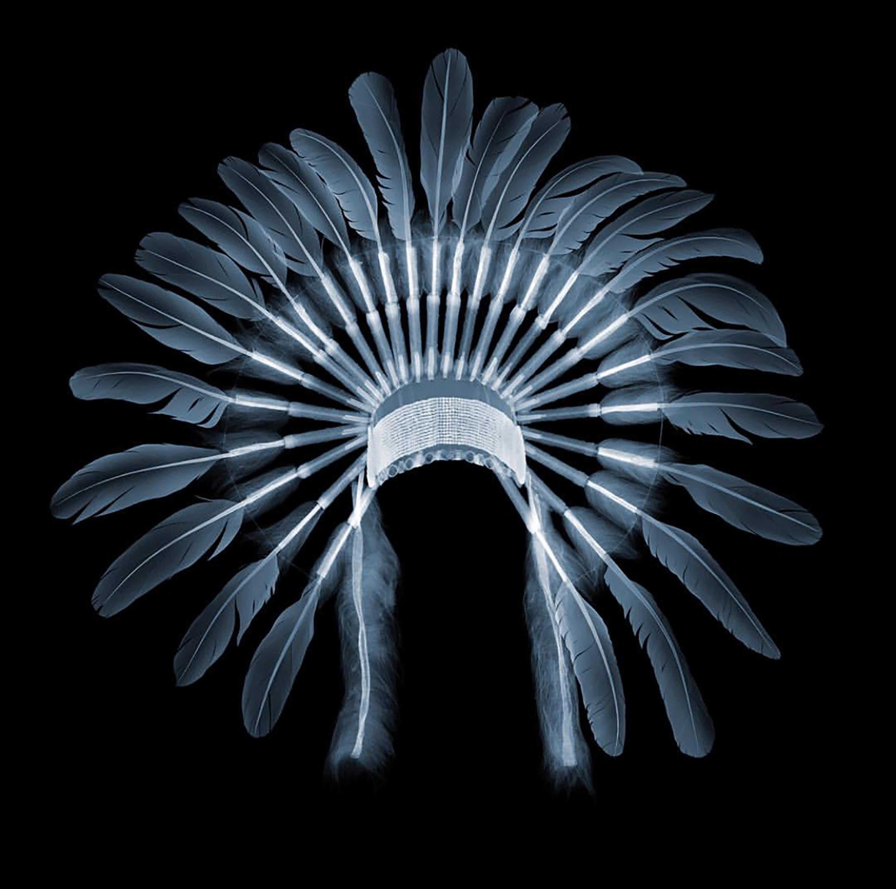 Headdress
47x47 inches 
X-Ray C-Type print with Diasec frame 
Limited Edition 4 of 9

X-Ray print of a Native American feathered headdress. Artist Nick Veasey explores the intersection between science and art by creating a unique and detailed work