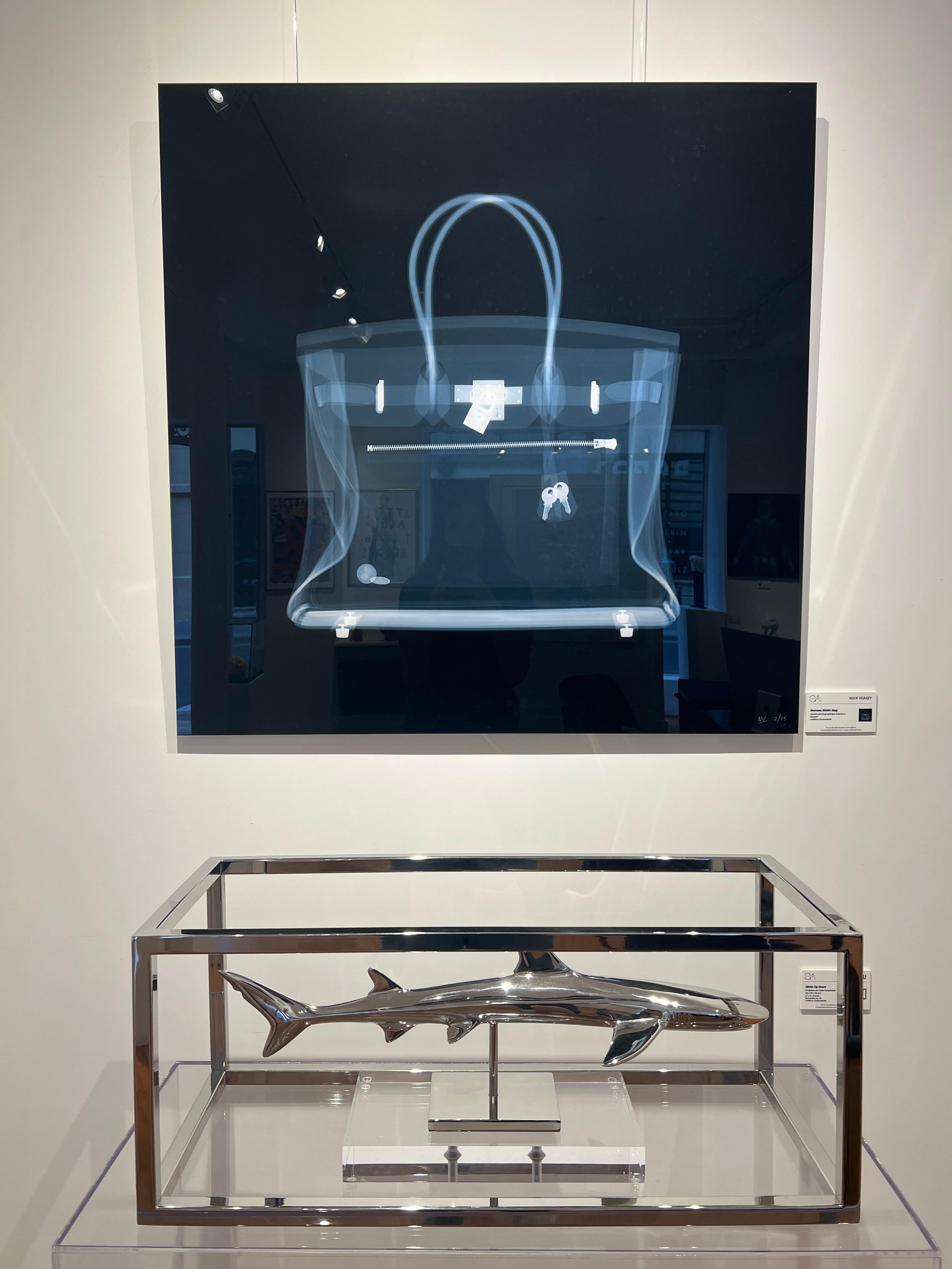 A man with x-ray vision, Nick Veasey creates art that shows what it is really like inside. 
Original artwork.
C print, diasec Framed. Signed and numbered out of 15.
Accompanied with the catalog of the artist and the certificate of authenticity.