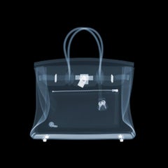 Sac Birkin Hermes 