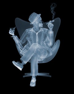 "Rat Pack II", X-ray photography by Nick Veasey (50x40'), 2020