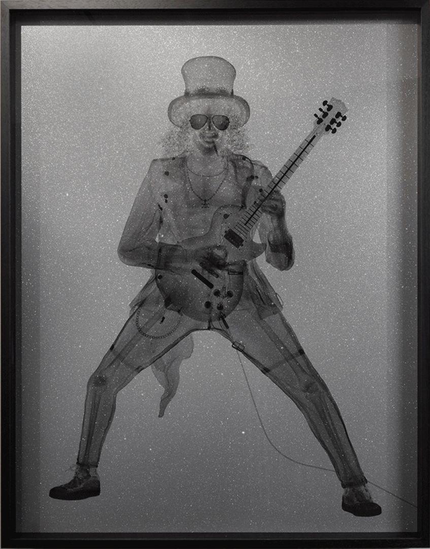 Disco Radiographics Nick Veasey - Peony / X-Ray Print / Photography / Radiographic Imaging ...