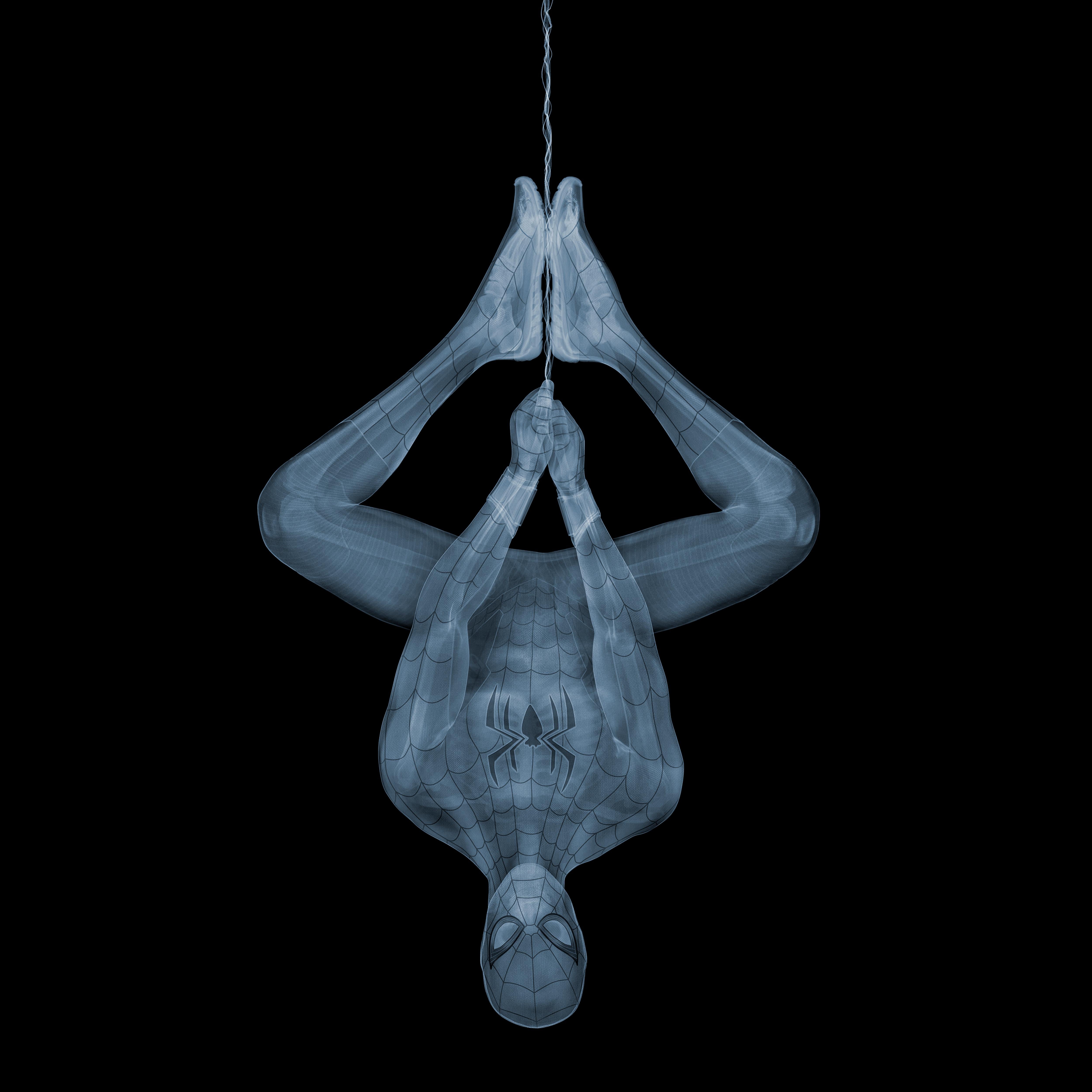Nick Veasey Black and White Photograph - Spider Man