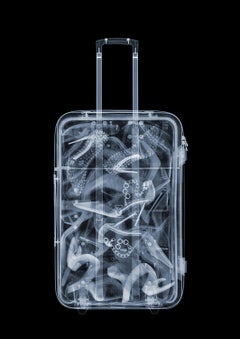 Suitcase/ Travel / X-Ray Print / Photography / Radiographic Imaging 