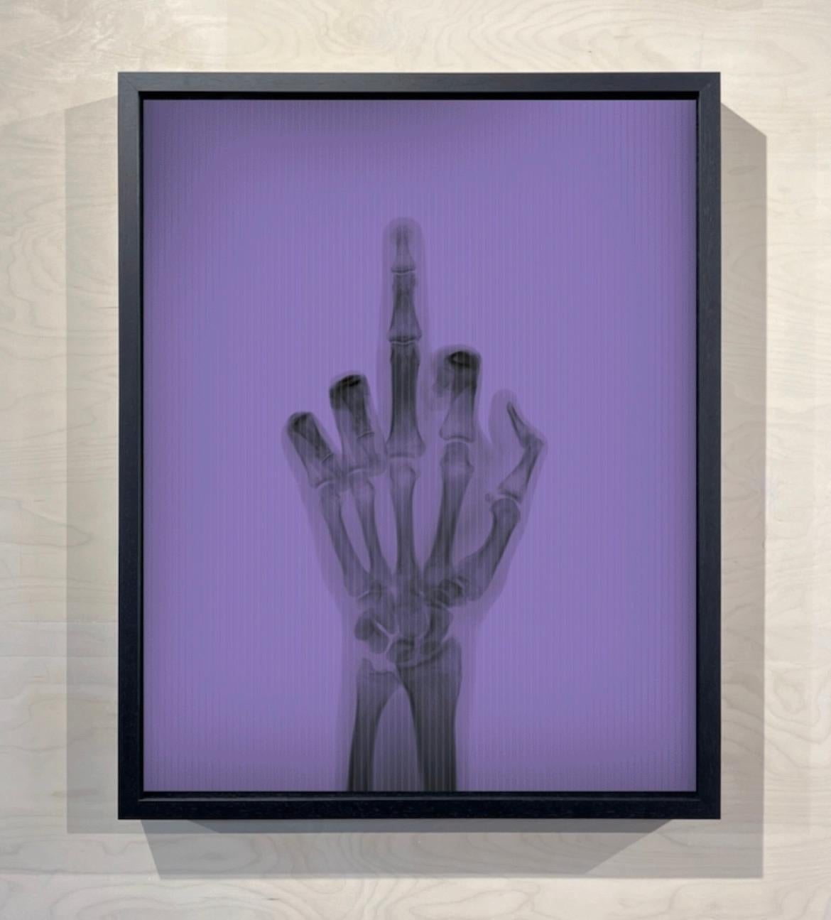 L'oiseau en couleur n° 1 TL - Photograph de Nick Veasey