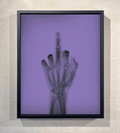 L'uccello a colori n. 1 TL