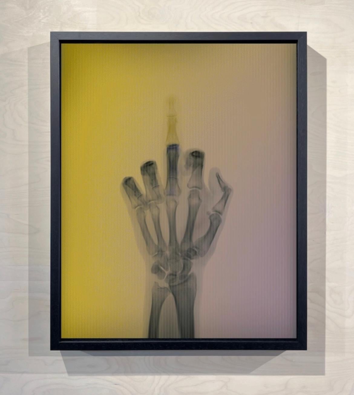 L'oiseau en couleur n° 1 TL - Postmoderne Photograph par Nick Veasey