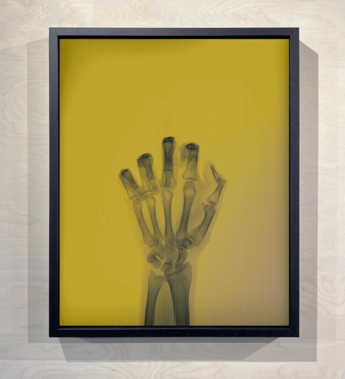 L'oiseau en couleur n° 1 TL - Marron Color Photograph par Nick Veasey
