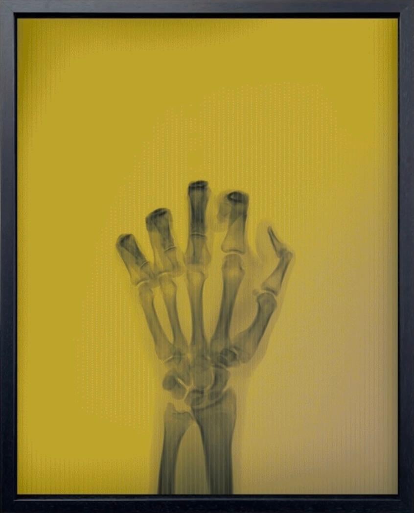 Color Photograph Nick Veasey - L'oiseau en couleur n° 1 TL