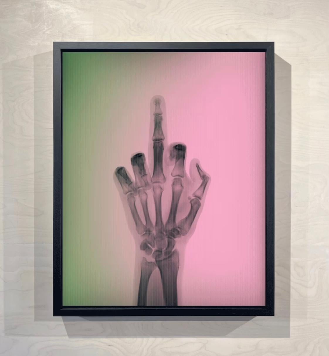 L'oiseau en couleur n° 3 TR - Photograph de Nick Veasey