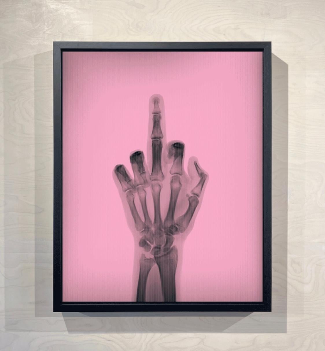 L'oiseau en couleur n° 3 TR - Postmoderne Photograph par Nick Veasey