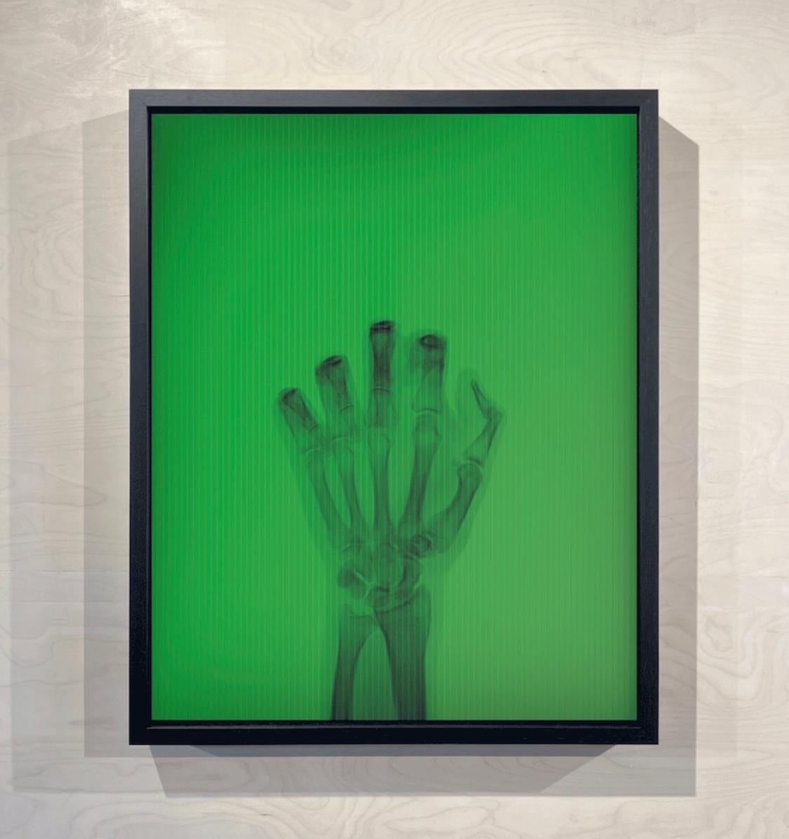 Nick Veasey - L'oiseau en couleur n° 3 TR
Signé et numéroté par l'artiste.
C.I.C. lenticulaire, encadré
30.5 x 37.5 cm
Édition de 15. 
Également disponible en tant que partie de l'ensemble complet. 

Cette œuvre d'art audacieuse se compose d'un
