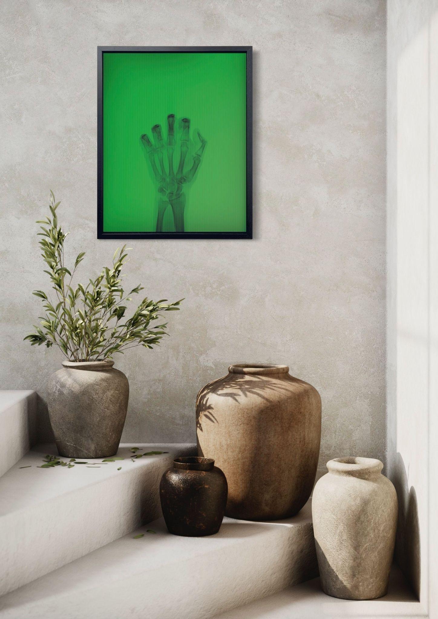 L'oiseau en couleur n° 3 TR en vente 4