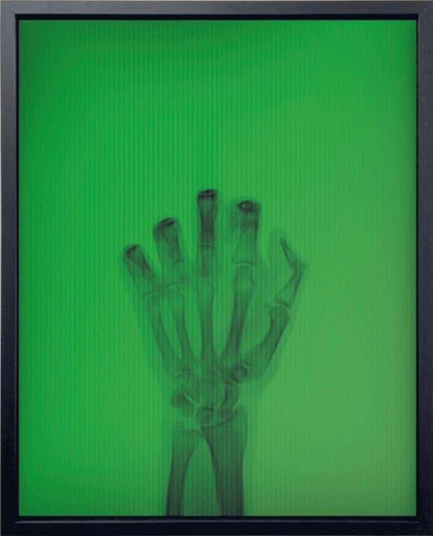 The Bird in Colour No 3 TR, Lenticular Print, Framed, Signed Edition