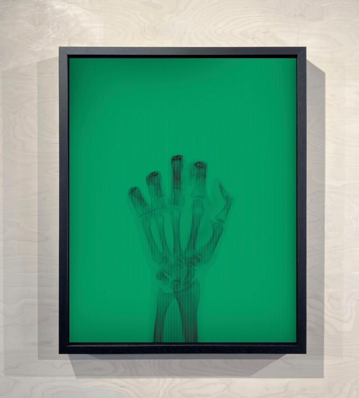 Nick Veasey - El pájaro en color nº 4 ML
Firmado y numerado por el artista
Impresión digital lenticular C, enmarcada
30.5 x 37.5 cm
Edición de 15 ejemplares. 
También disponible como parte del conjunto completo. 

Esta atrevida obra de arte consiste
