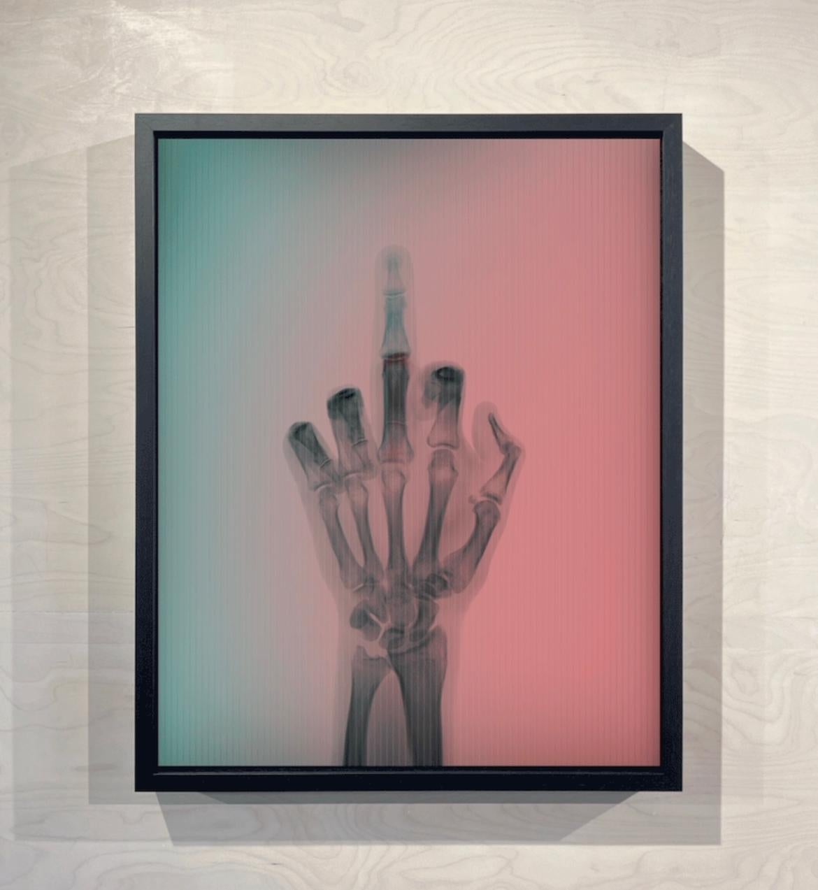 L'oiseau en couleur n° 6 MR - Photograph de Nick Veasey