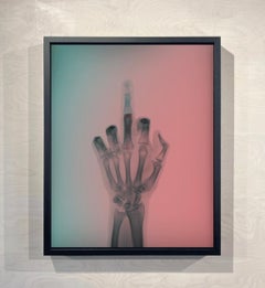 The Bird in Colour No 6 MR, Framed Lenticular Print, Signed Edition