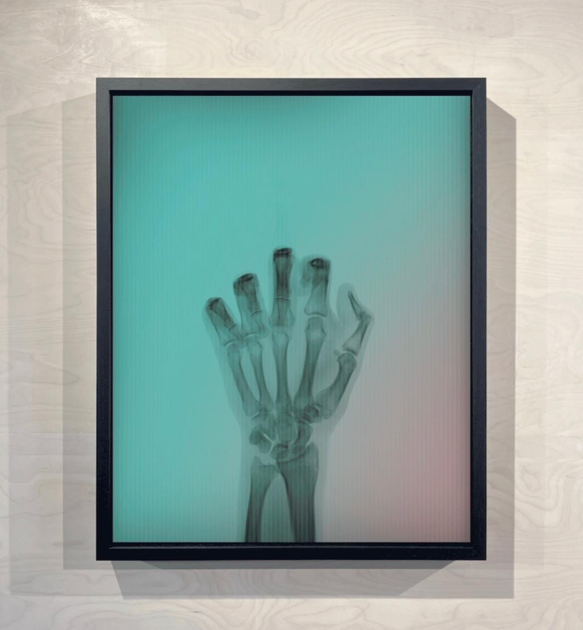 L'oiseau en couleur n° 6 MR - Postmoderne Photograph par Nick Veasey