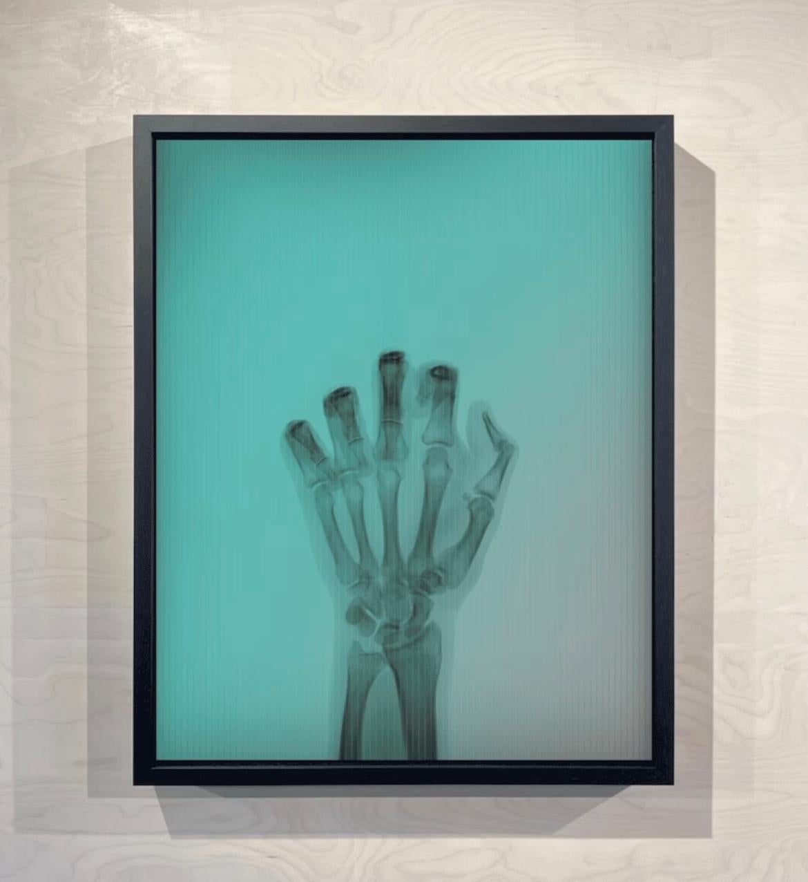 Nick Veasey - L'oiseau en couleur n° 6 MR
Signé et numéroté par l'artiste.
C.I.C. lenticulaire, encadré
30.5 x 37.5 cm
Édition de 15. 
Également disponible en tant que partie de l'ensemble complet. 

Cette œuvre d'art audacieuse se compose d'un