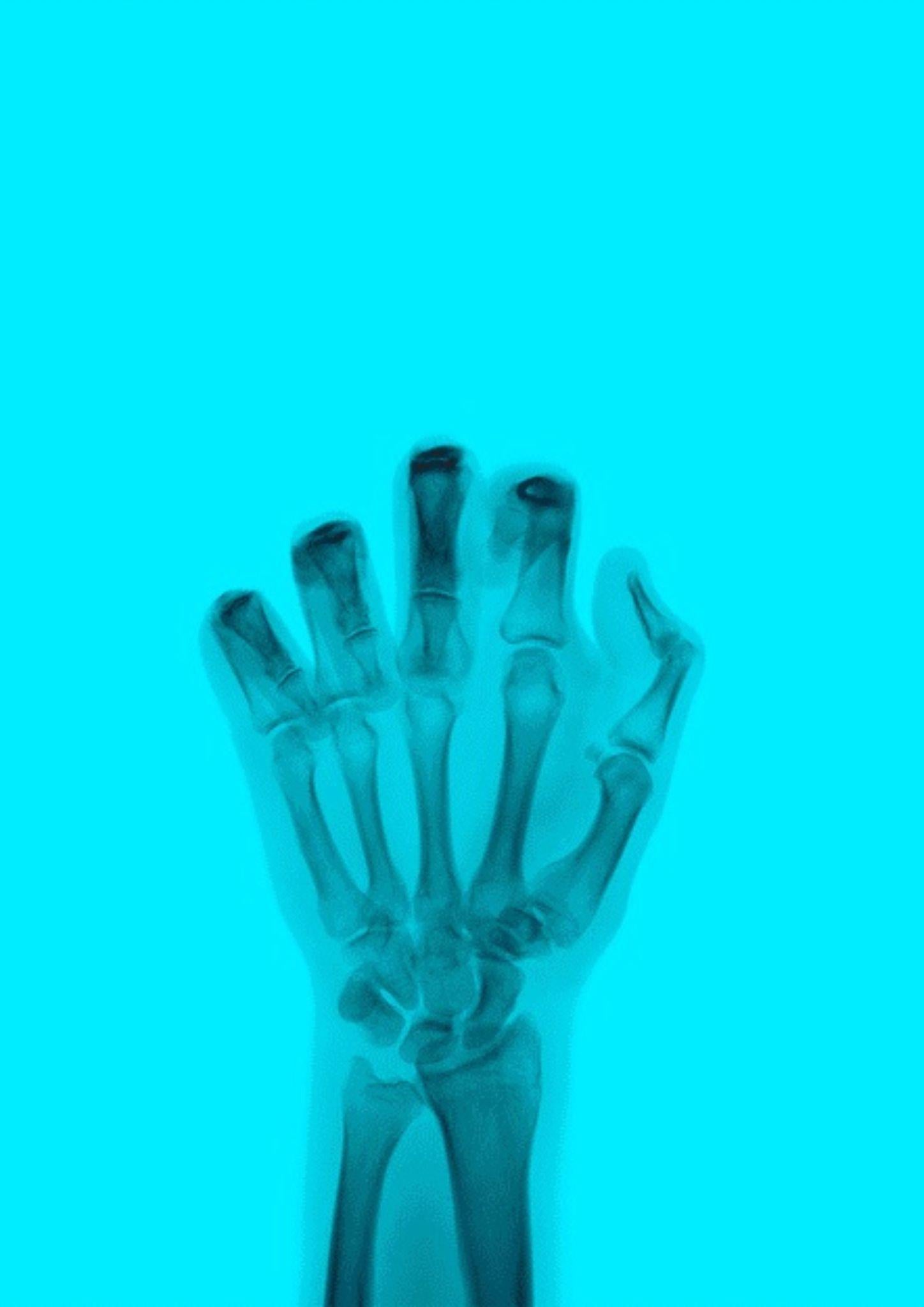 El pájaro en color nº 7 BL - Photograph de Nick Veasey