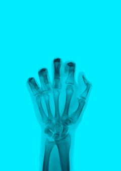 L'uccello a colori n. 7 BL