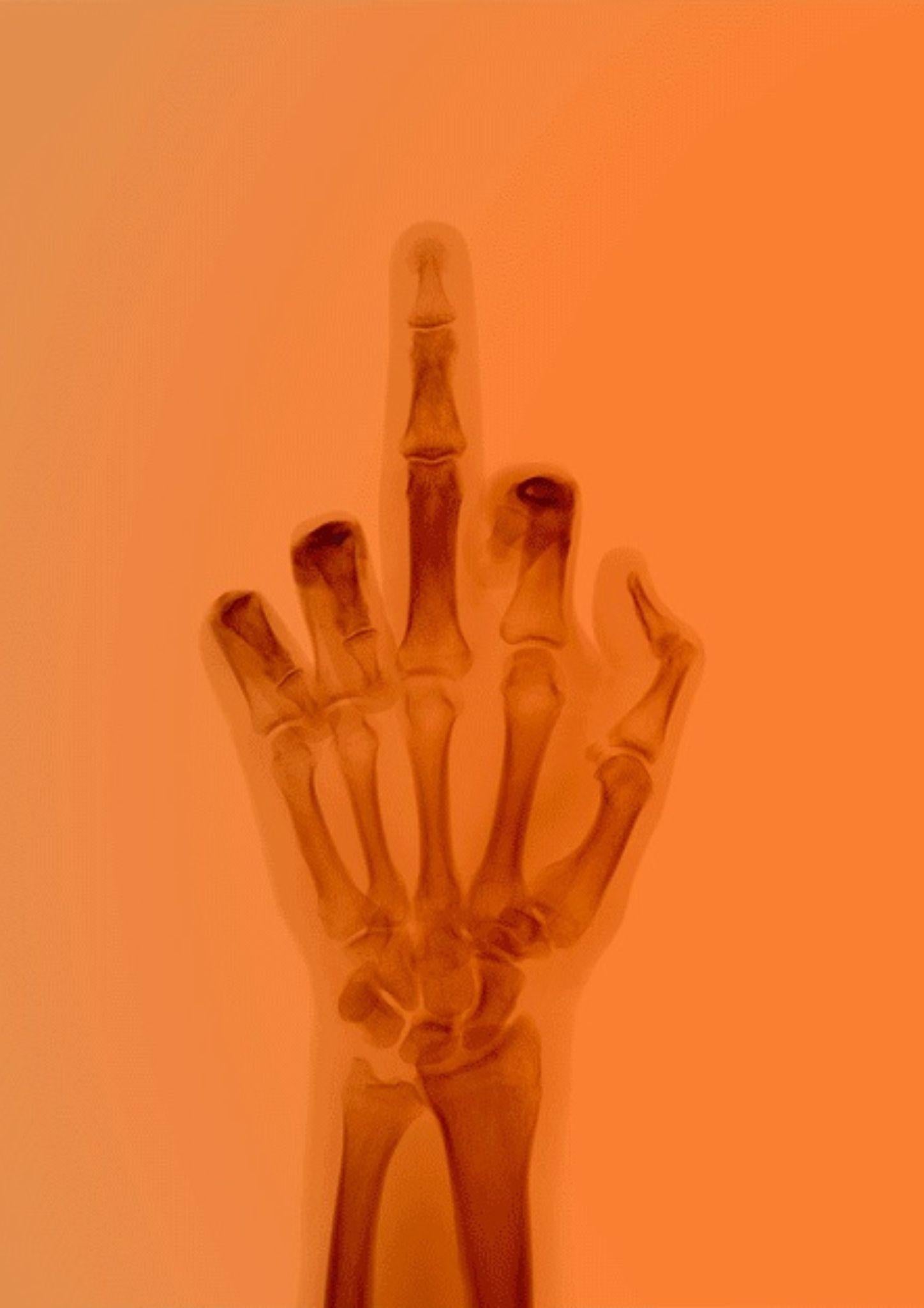 El pájaro en color nº 7 BL - Photograph Posmoderno de Nick Veasey