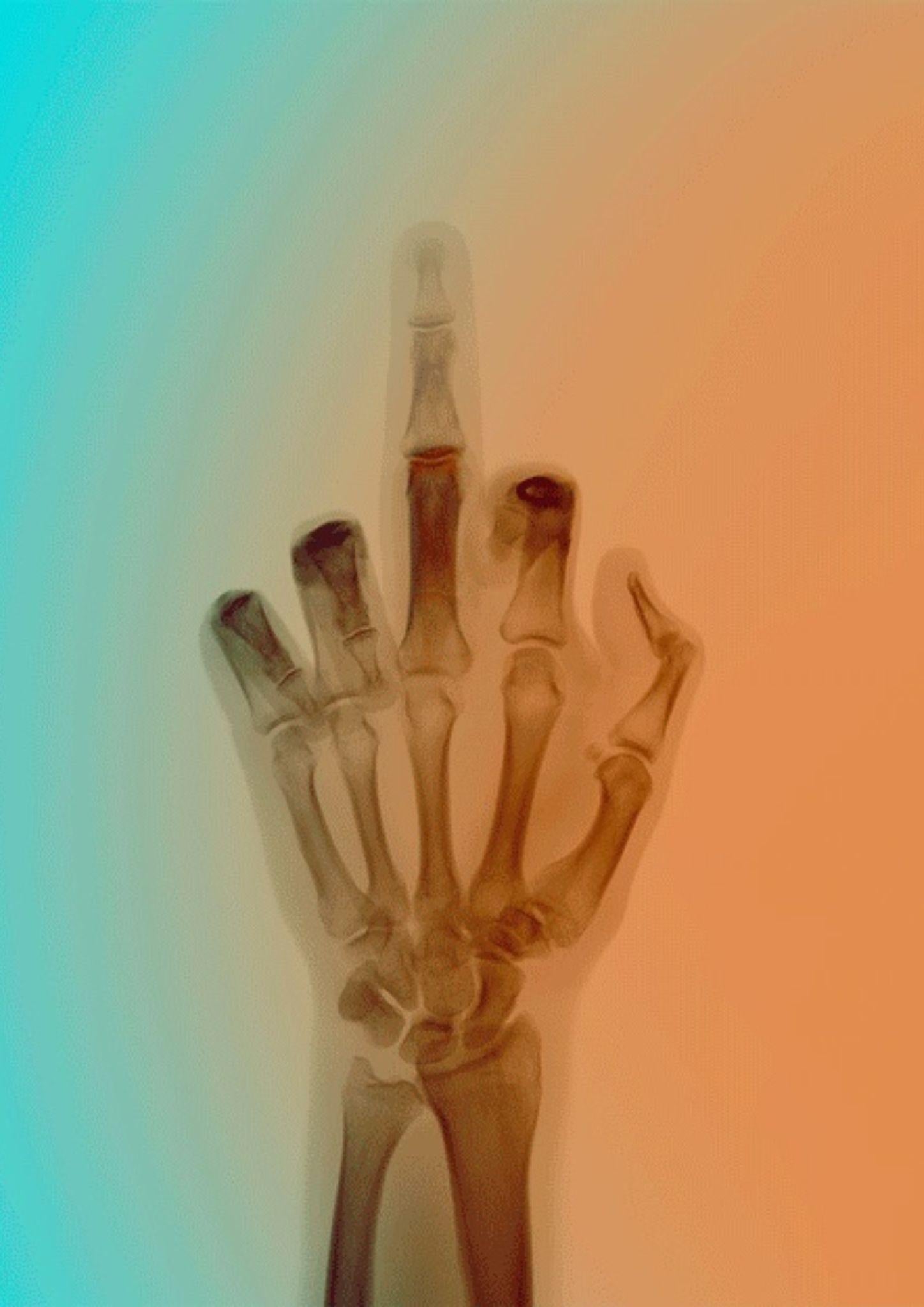 El pájaro en color nº 7 BL - Color Photograph Gris de Nick Veasey