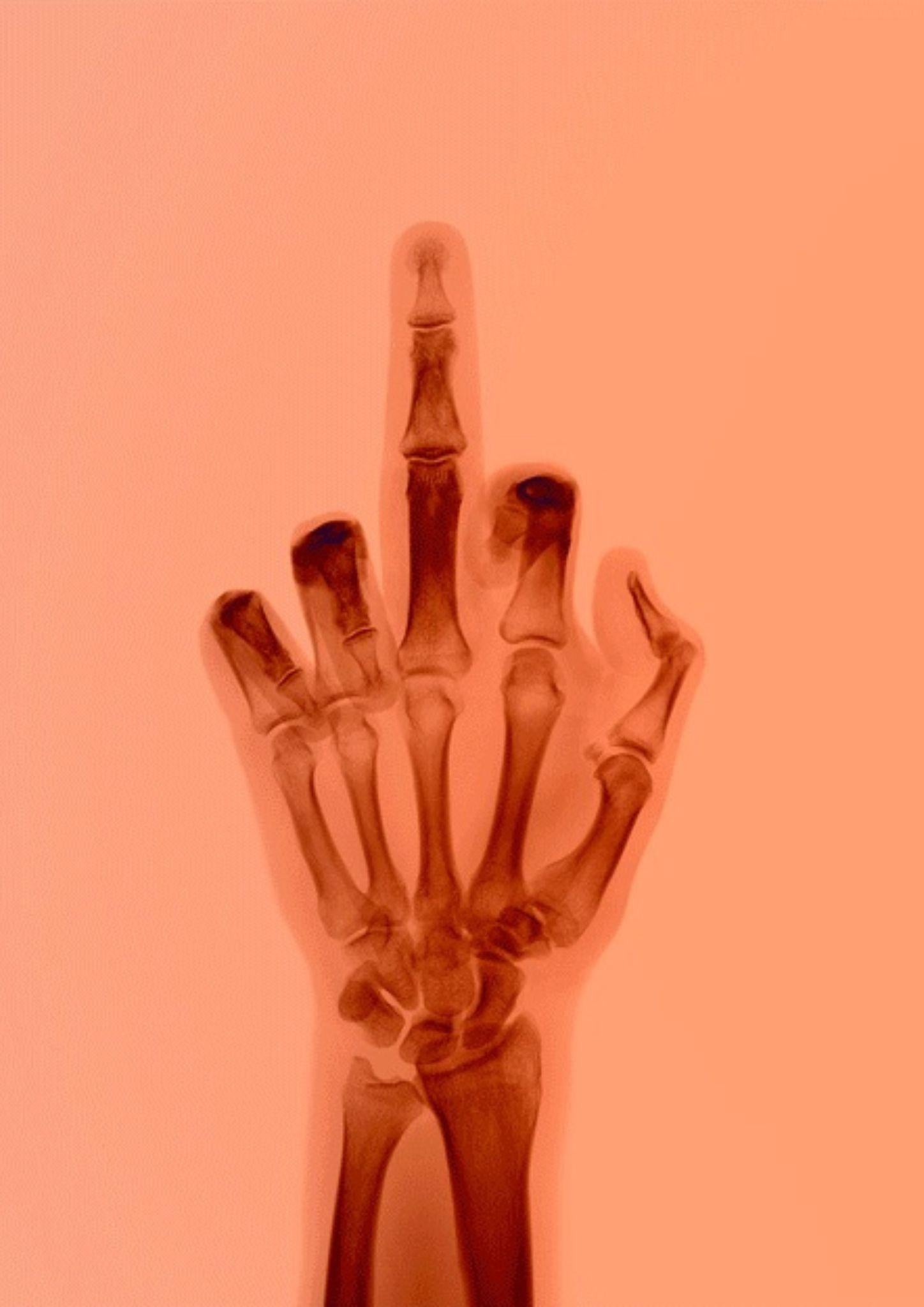 L'oiseau en couleur n° 8 BM - Photograph de Nick Veasey