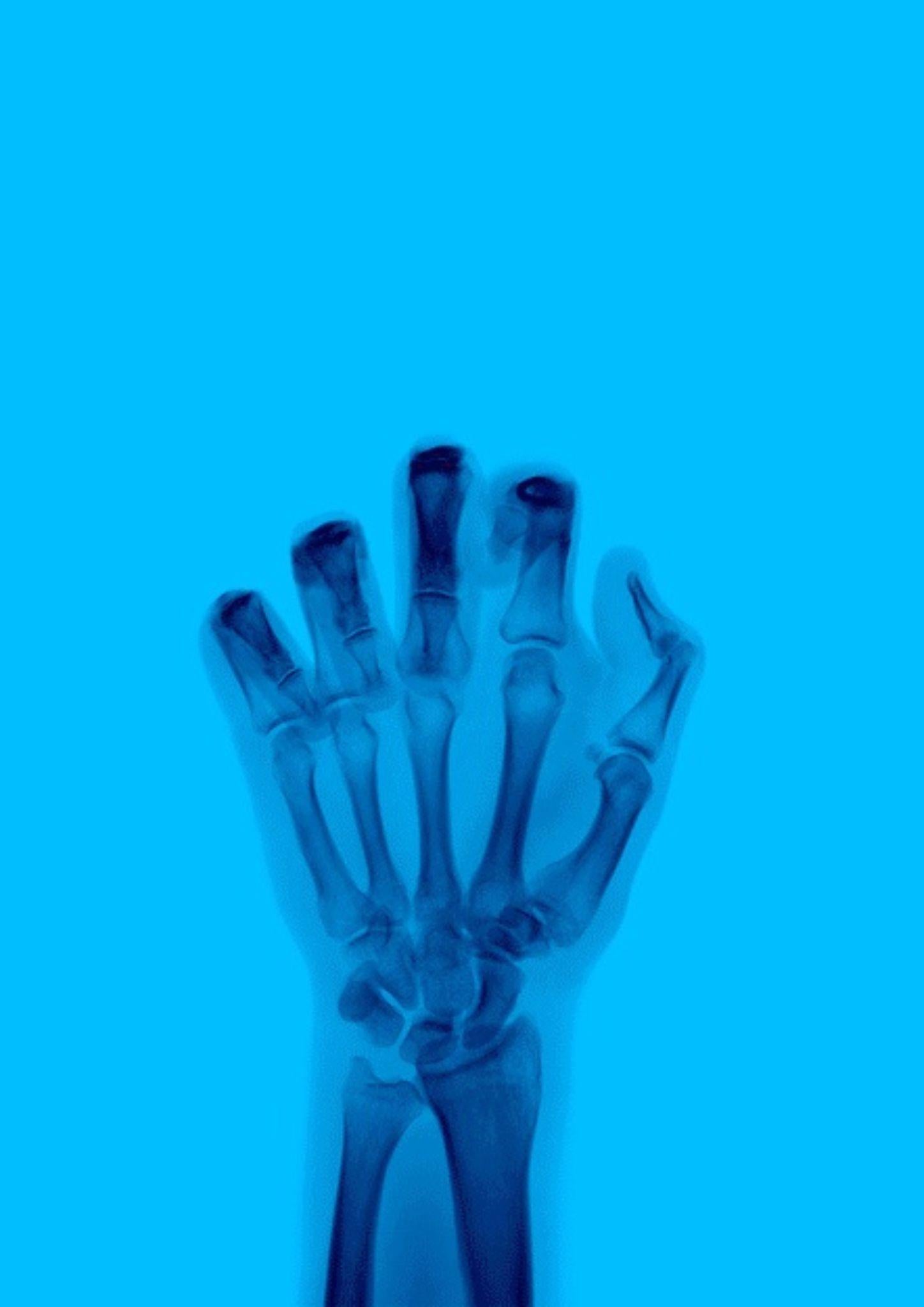 L'oiseau en couleur n° 8 BM - Postmoderne Photograph par Nick Veasey