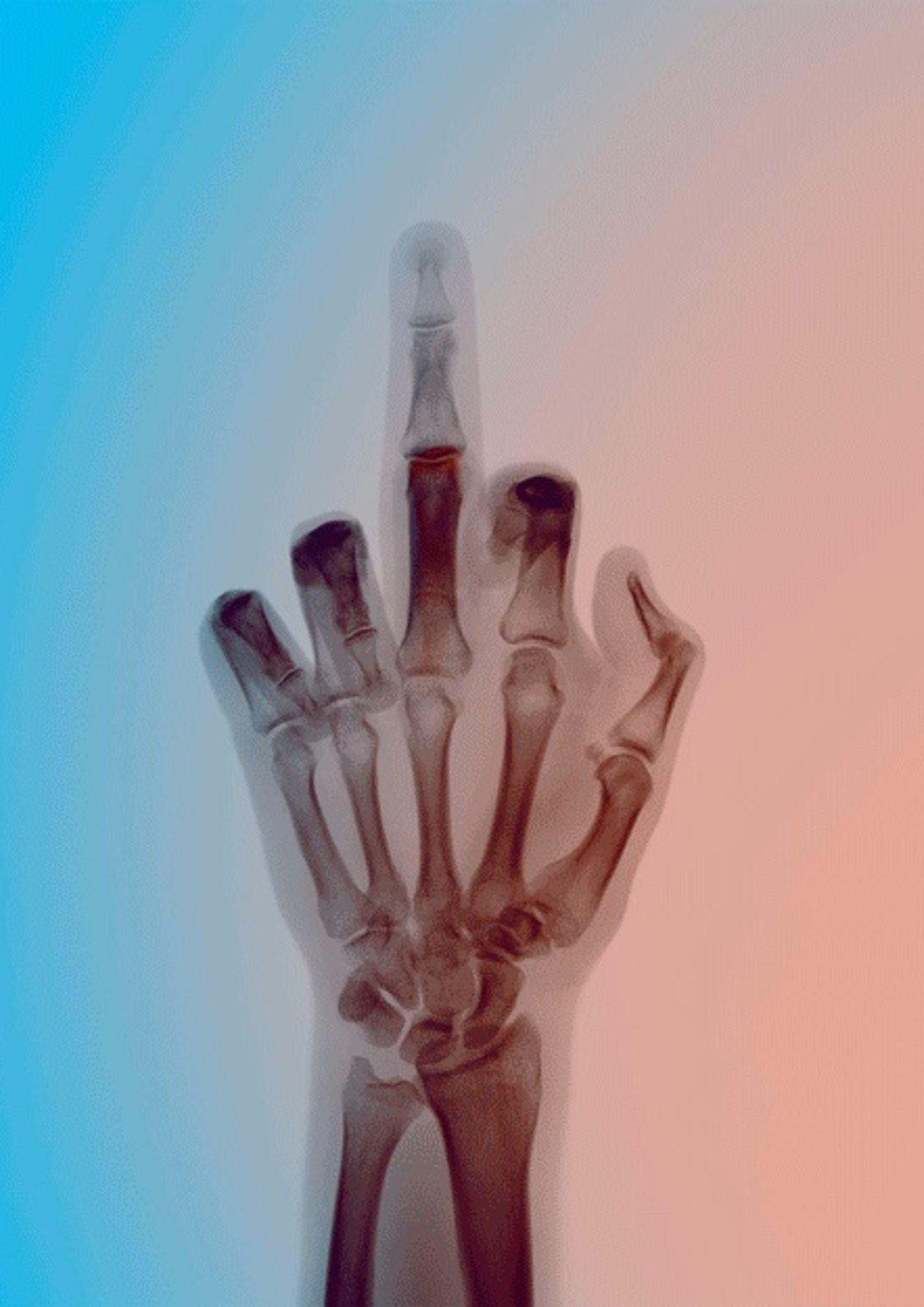 L'oiseau en couleur n° 8 BM - Gris Figurative Photograph par Nick Veasey