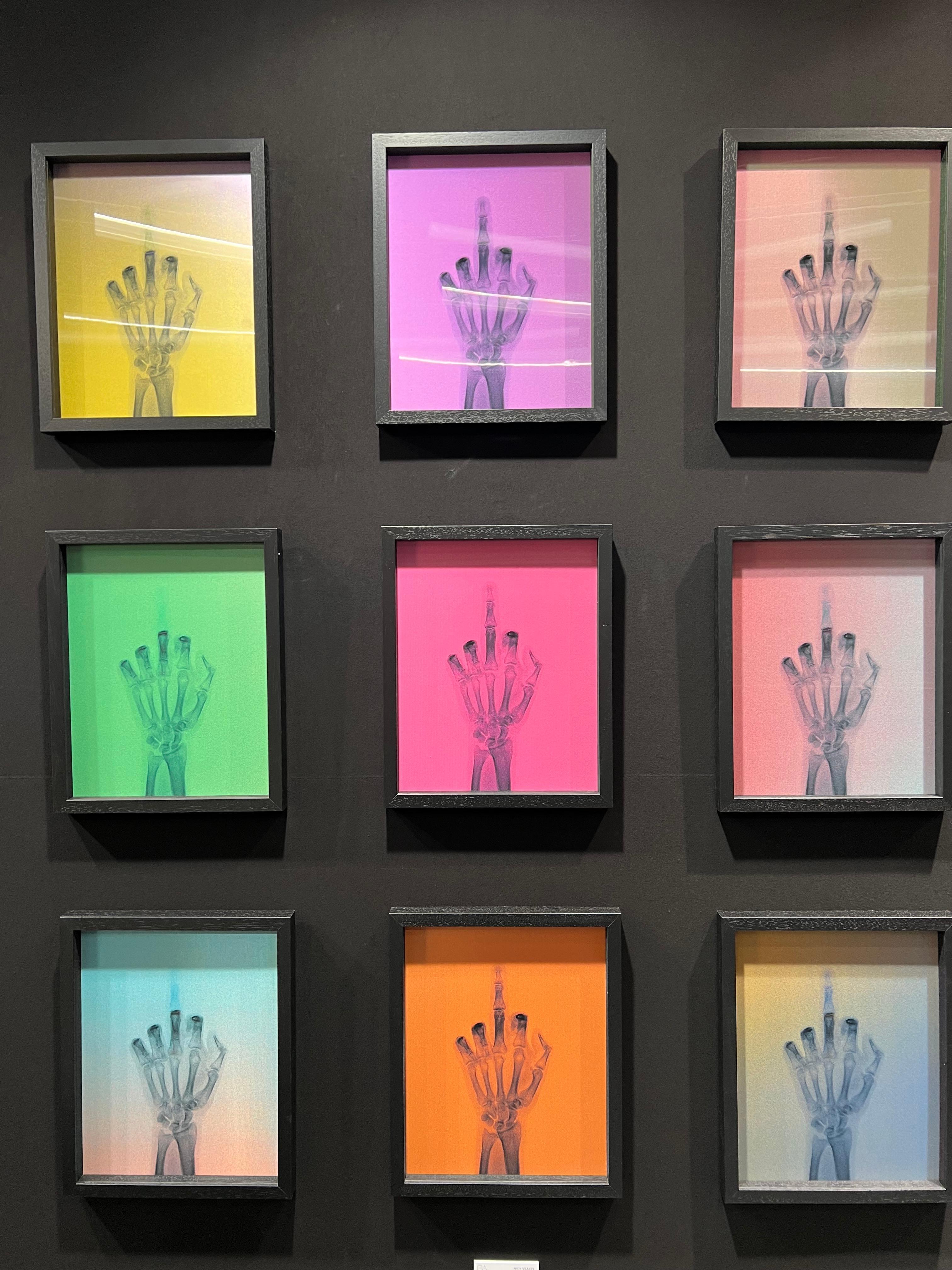 Nick Veasey - L'oiseau en couleur n° 8 BM
Signé et numéroté par l'artiste.
C.I.C. lenticulaire, encadré
30.5 x 37.5 cm
Édition de 15. 
Également disponible en tant que partie de l'ensemble complet de 9 pièces.

Cette œuvre d'art audacieuse se