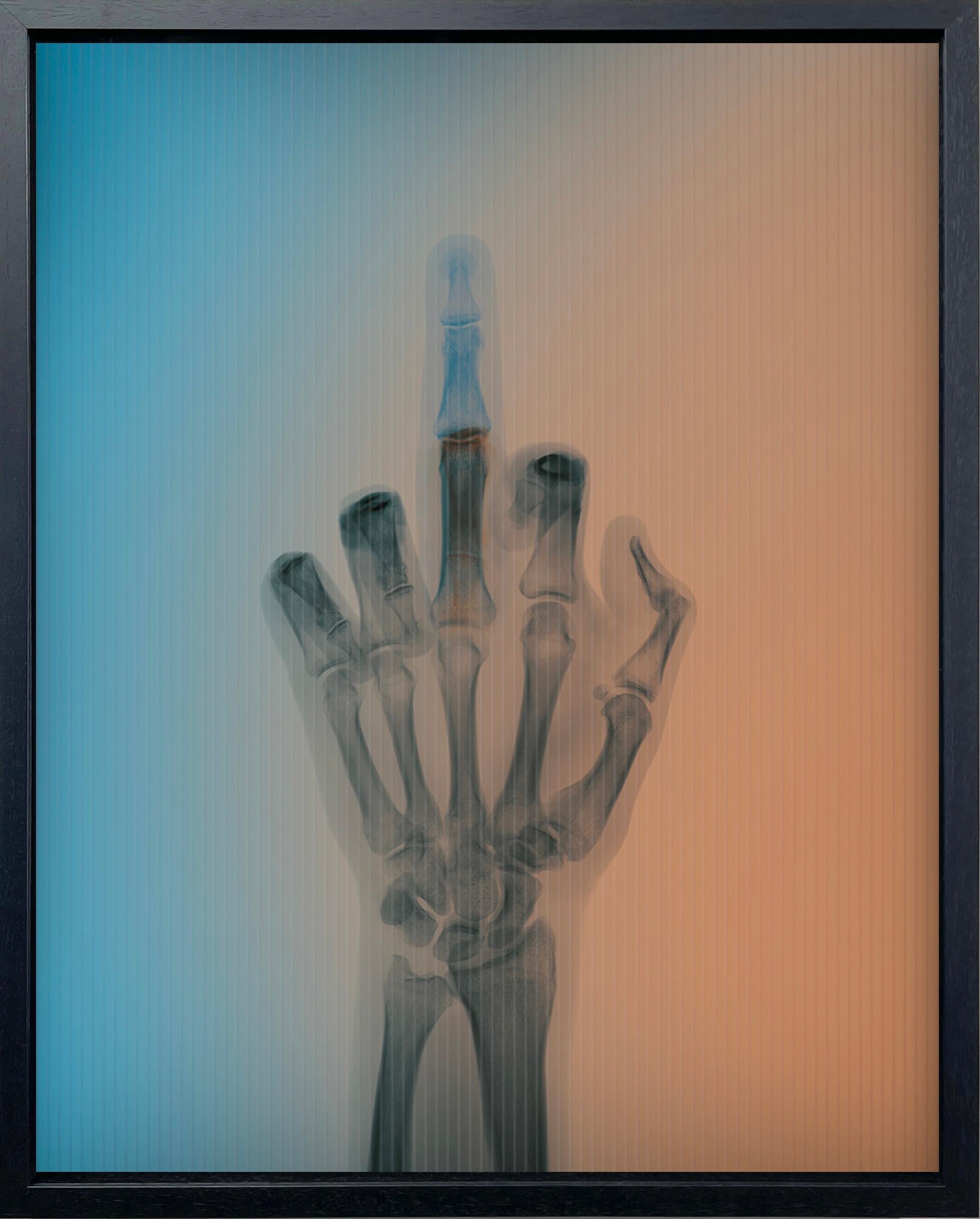 Figurative Photograph Nick Veasey - L'oiseau en couleur n° 8 BM