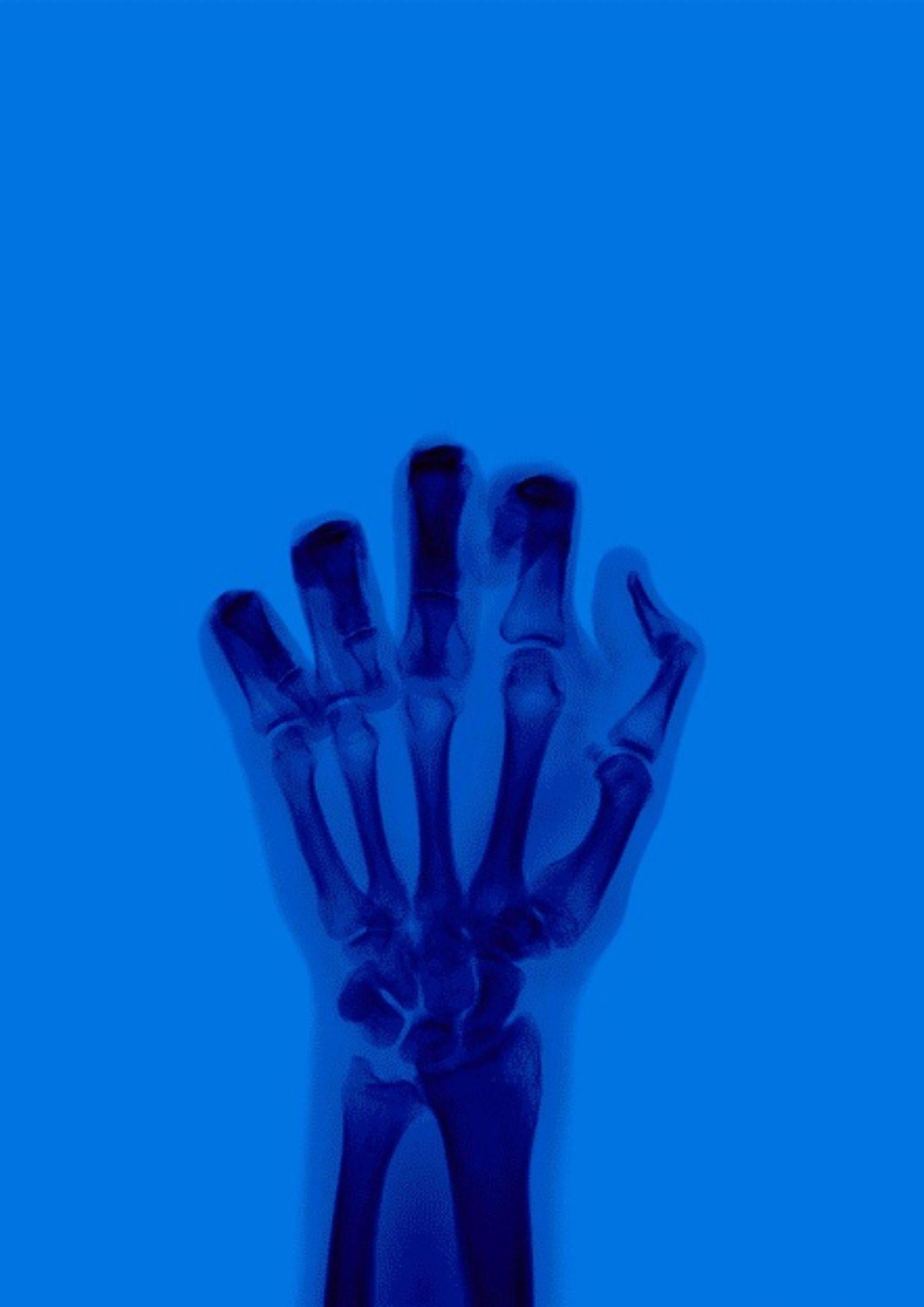 L'oiseau en couleur n° 9 BR - Photograph de Nick Veasey