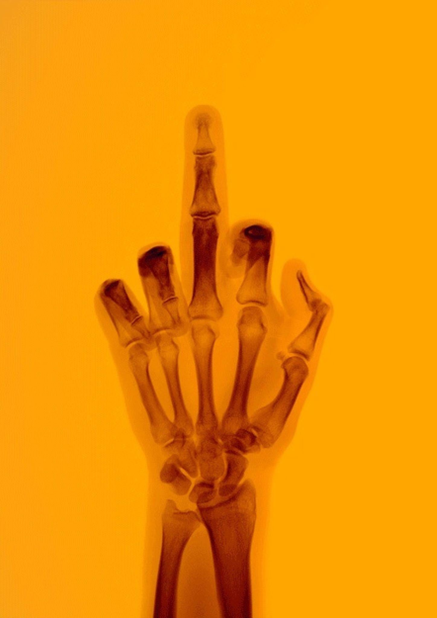 L'oiseau en couleur n° 9 BR - Postmoderne Photograph par Nick Veasey