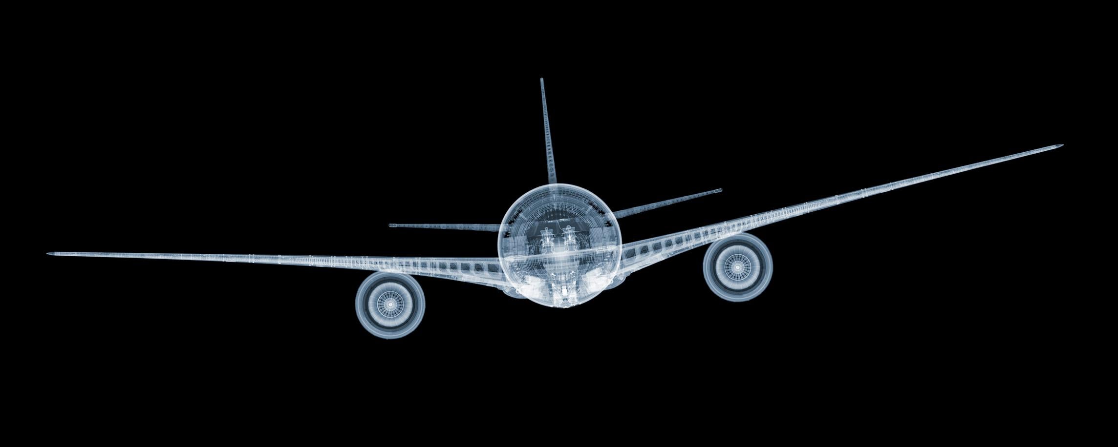 Nick Veasey Abstract Photograph – Jet aus Veilchenholz 