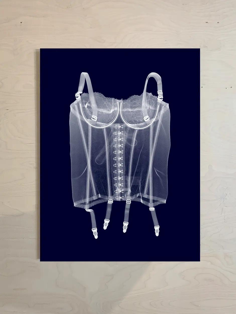 White Basque - Photograph by Nick Veasey