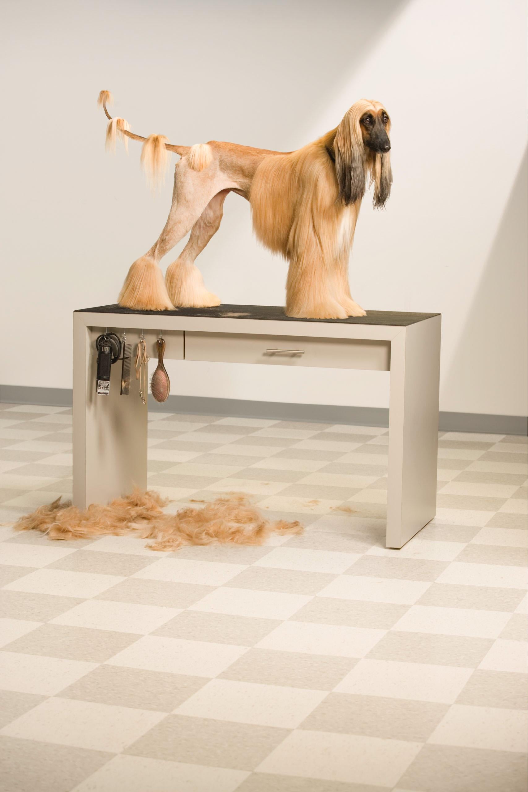Figurative Photograph di Nick Vedros - Taglio di capelli afgano