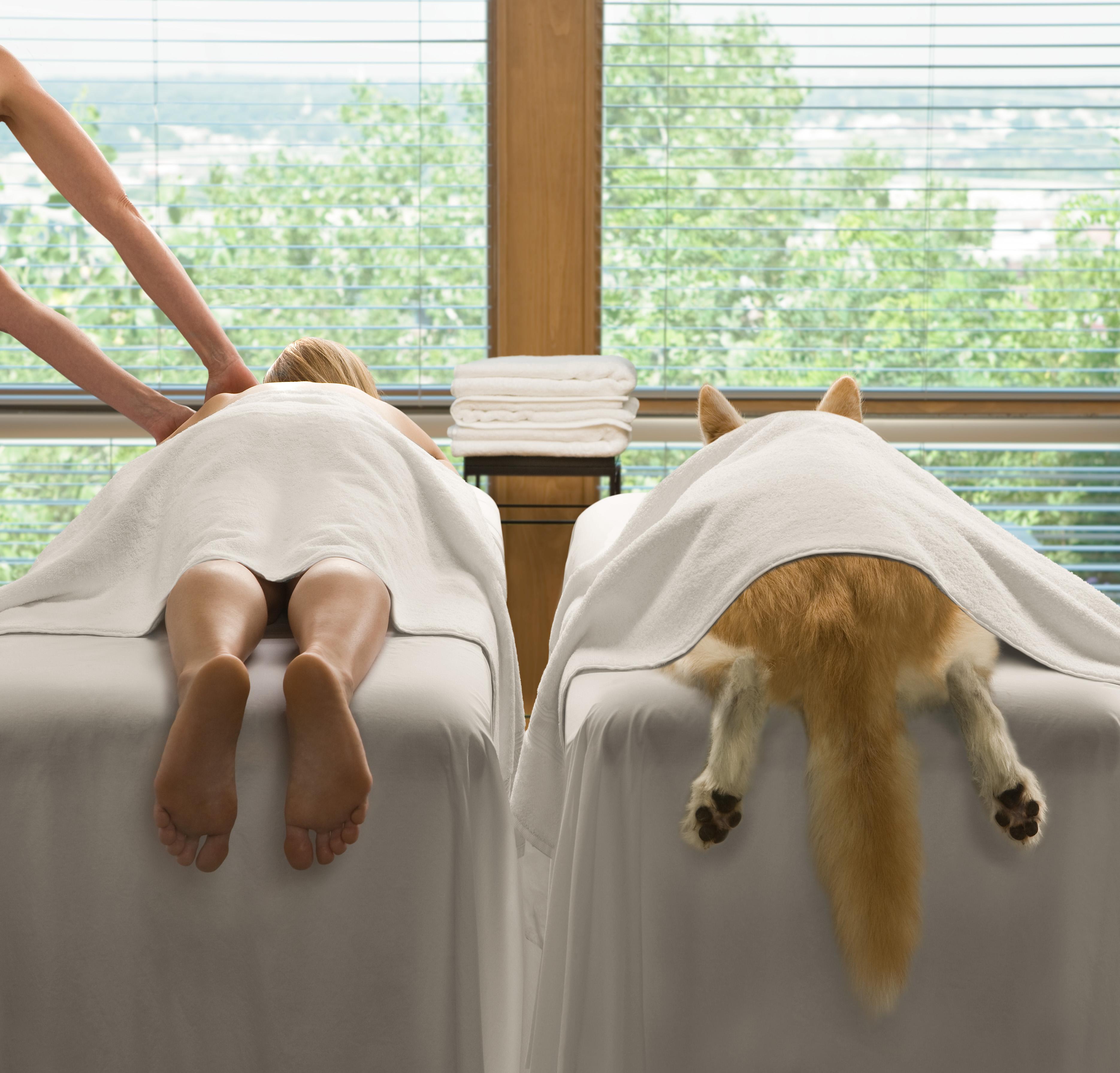 Spa Dog - Photograph di Nick Vedros
