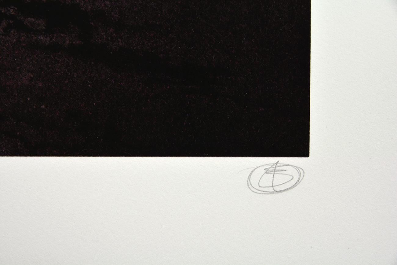 Der letzte Ritt
Datum der Erstellung: 2015
Medium: Siebdruck auf Somerset-Papier
Auflage: 150
Größe: 96 x 66 cm
Beobachtungen:
Siebdruck auf Satin Somerset Papier von 410 Gramm. Handsigniert von Nick Walker und nummeriert in einer limitierten