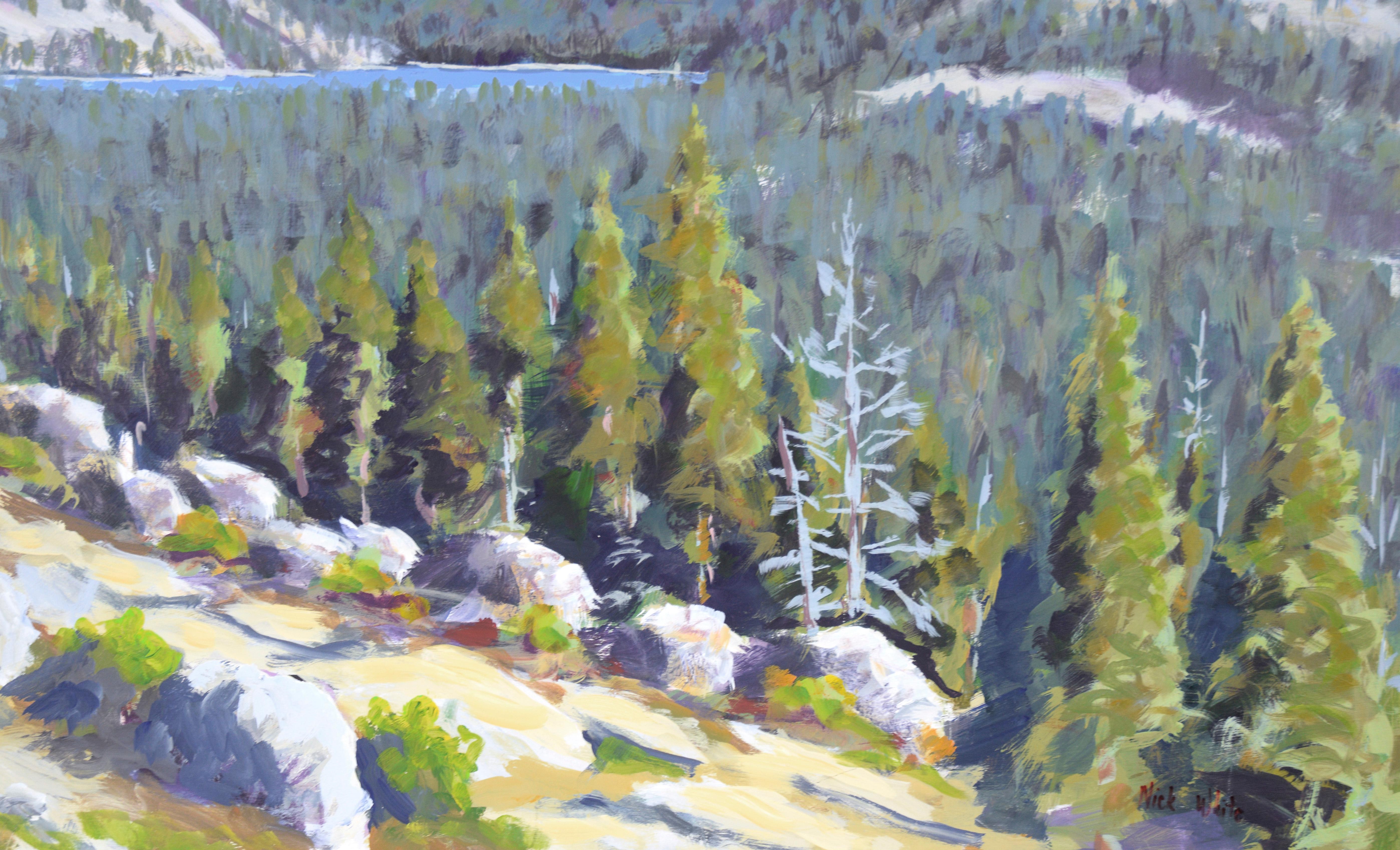 Mountain Lake - Plein Aire Landscape Acrylic on Board For Sale 4