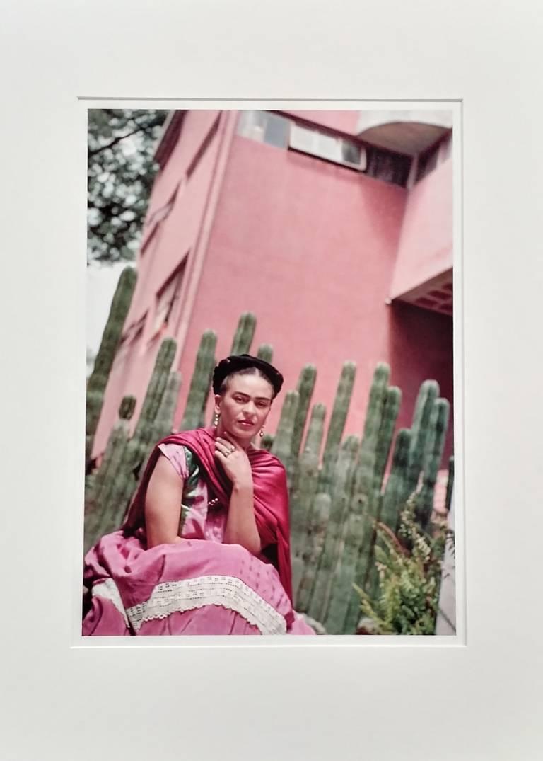 Frida by Organ Cactus Fence - Photograph by Nickolas Muray