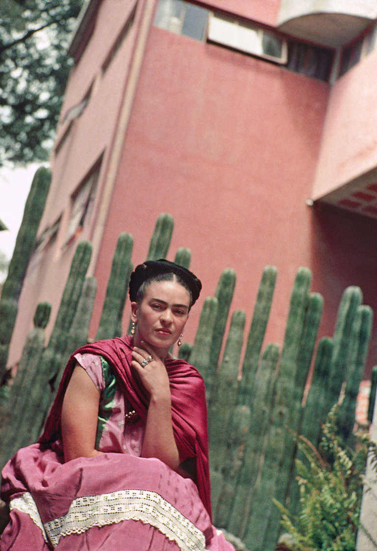 Frida by Organ Cactus Fence