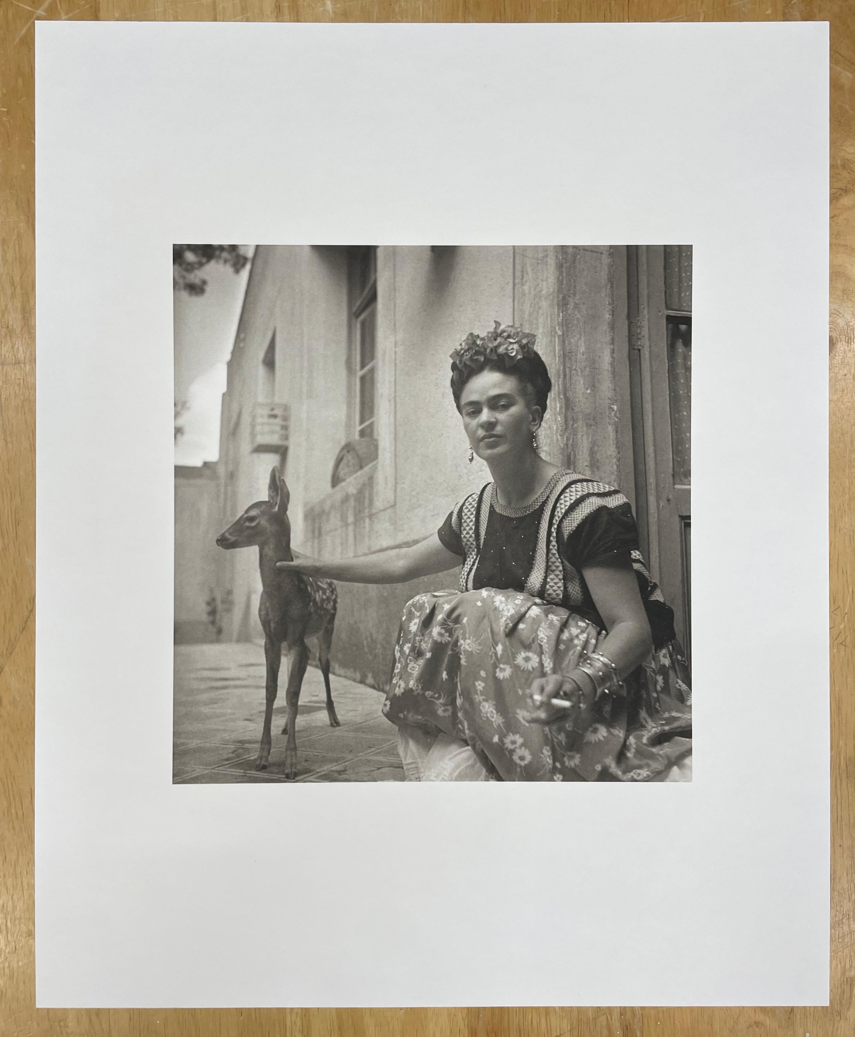 Frida mit Granizo von Nickolas Muray, 1939, Platindruck, Fotografie im Angebot 2