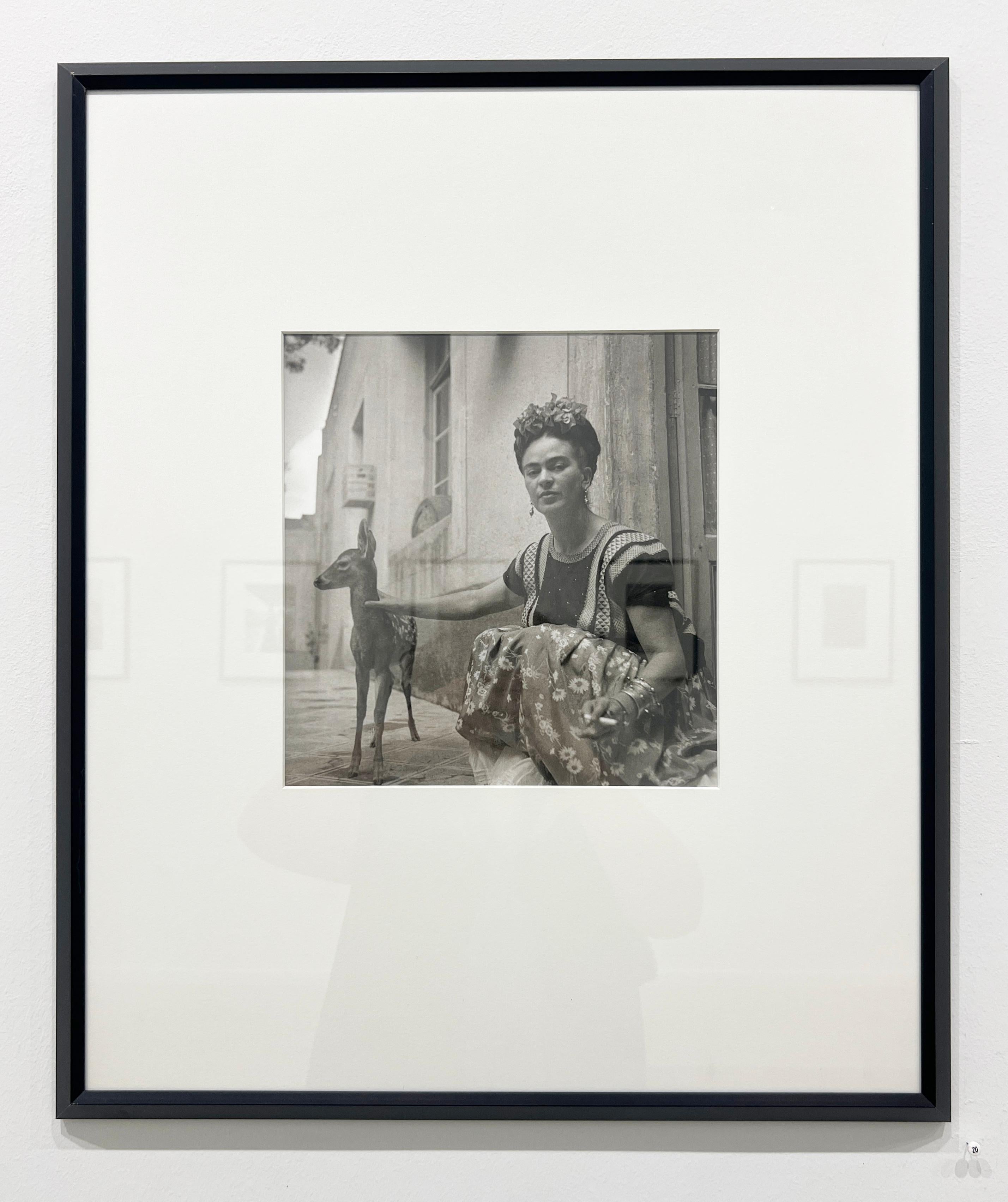 Frida mit Granizo von Nickolas Muray, 1939, Platindruck, Fotografie im Angebot 7
