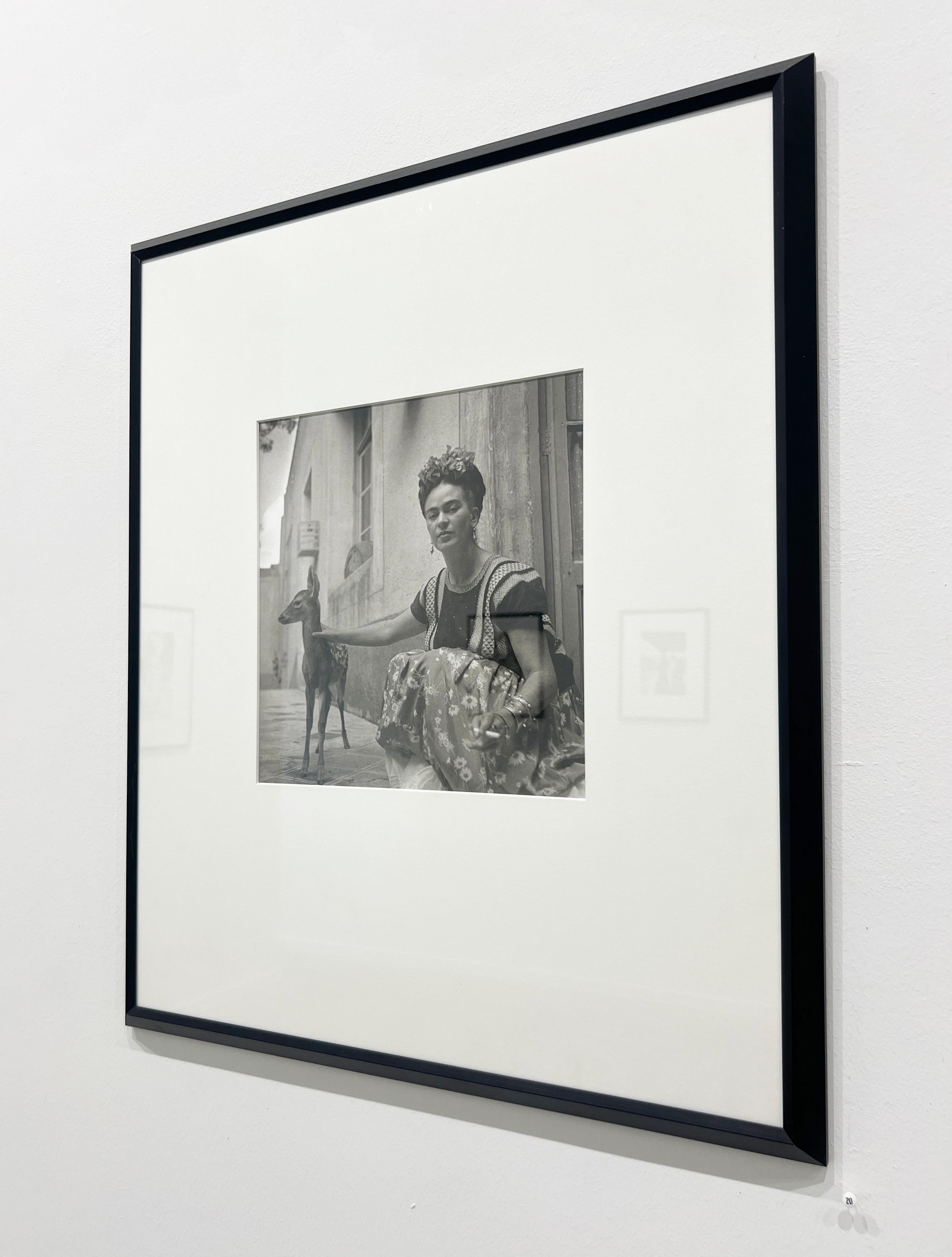 Frida mit Granizo von Nickolas Muray, 1939, Platindruck, Fotografie im Angebot 8