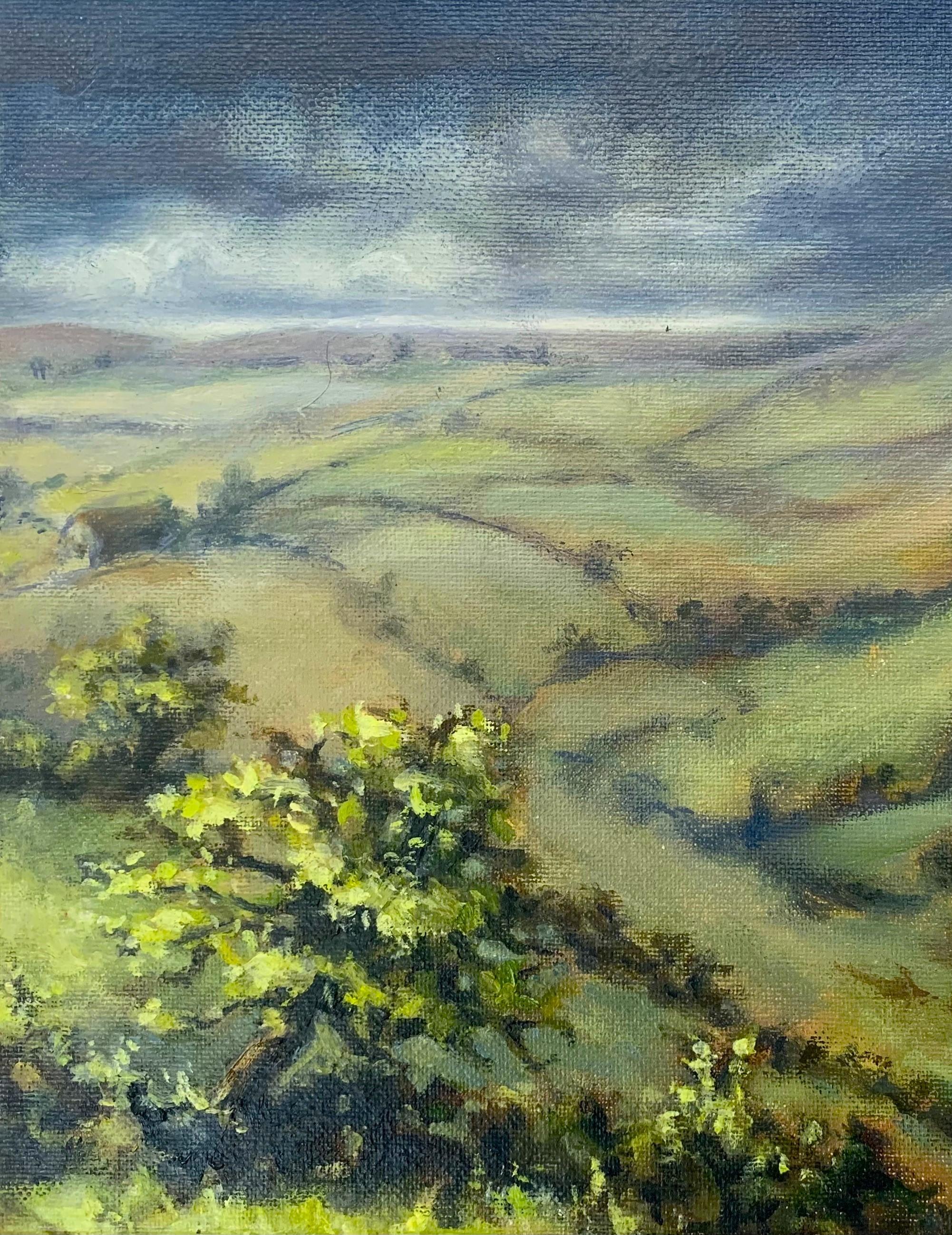 Keeping a weather eye on the wind direction, I watched the sunlight across the valley on the way to Cheltenham as the the rain storm moved across - it was stunning. The walk had opened up into a beautiful, soft, almost fabric vista.

Additional