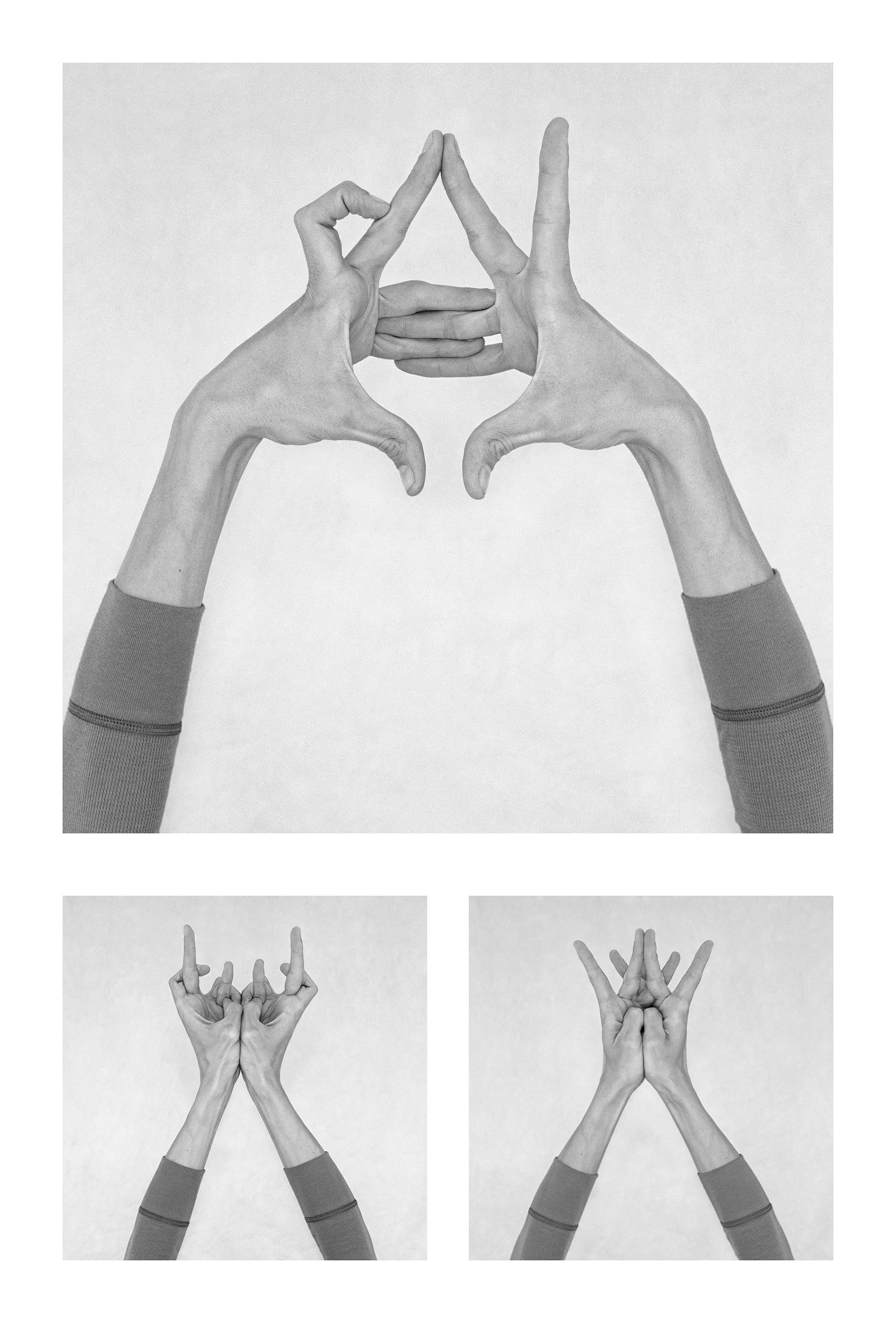 Nico Baixas / Gos-com-fuig Figurative Photograph - Untitled XII, XXXVII, and Untitled XXVI. Hands. From the Series Chiromorphose