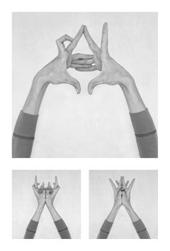 Untitled XII, XXXVII, and Untitled XXVI. Hands. From the Series Chiromorphose