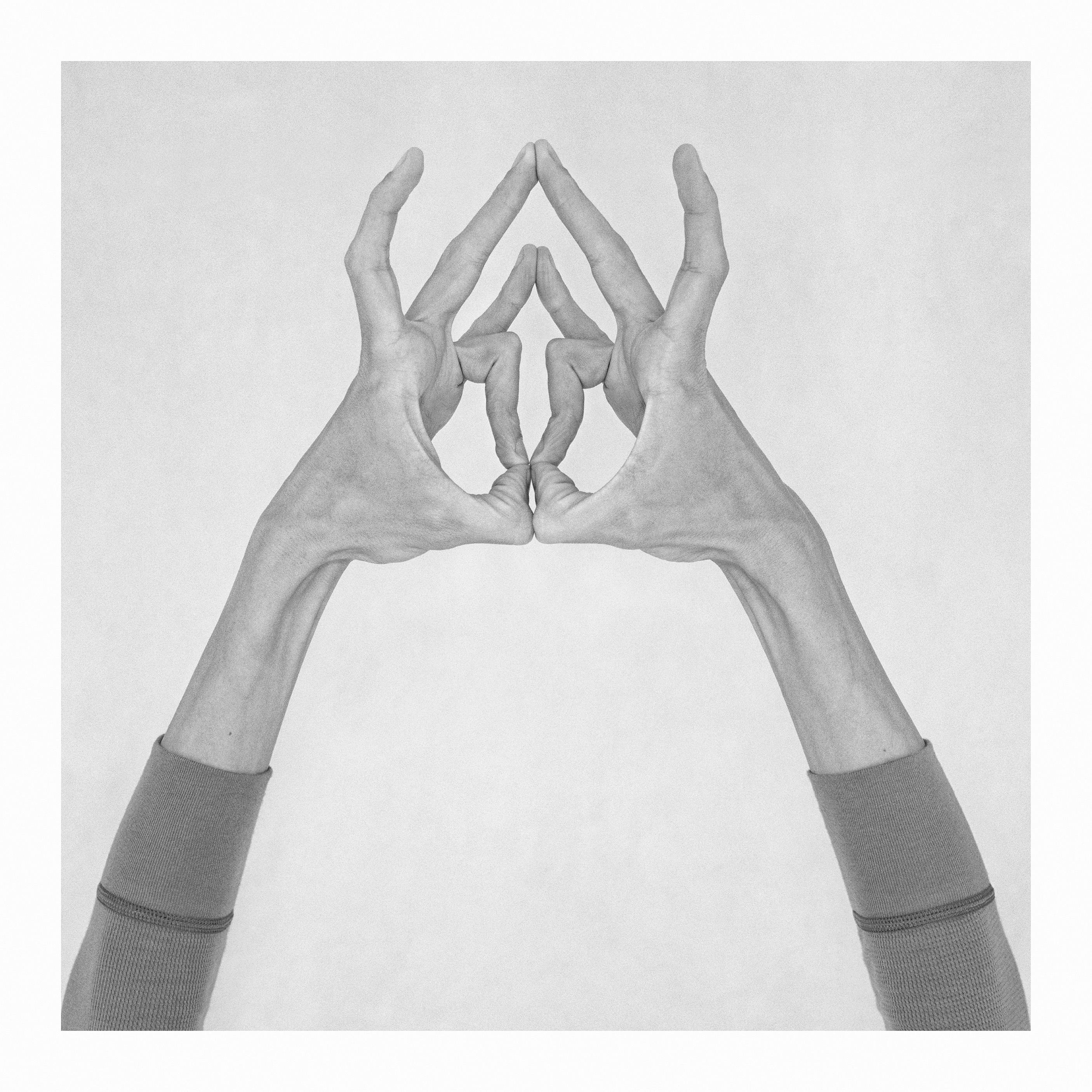 Untitled XIII. From the Series Chiromorphose. Hands. Black & White Photography
