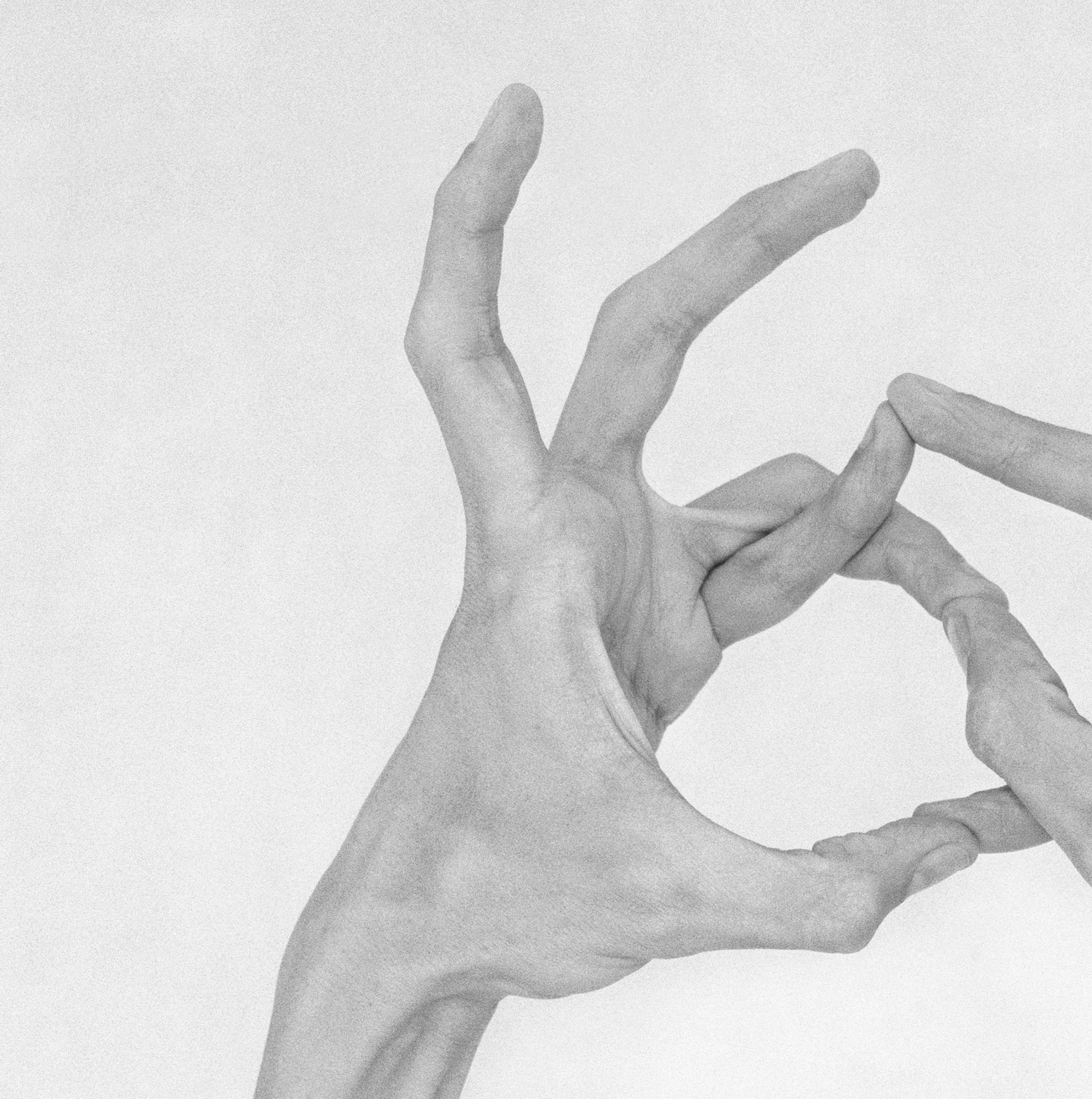 Ohne Titel XXIII. Aus der Serie Chiromorphose. Die Hände. Schwarzweiß-Fotografie (Ästhetizismus), Photograph, von Nico Baixas / Gos-com-fuig